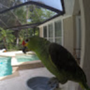 Meet your Posher, A.